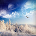 Finest Winter Nature Wallpapers