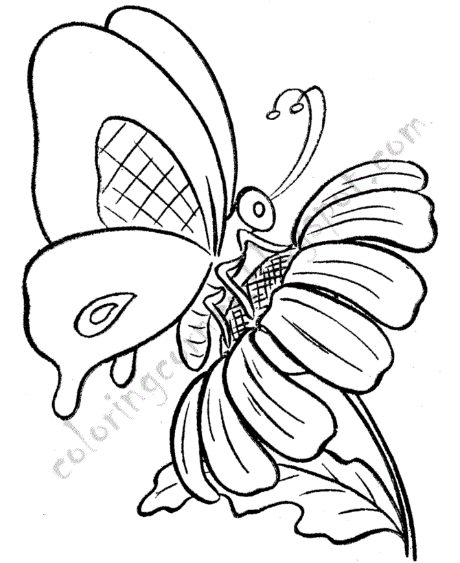 label butterfly coloring pages - photo #40