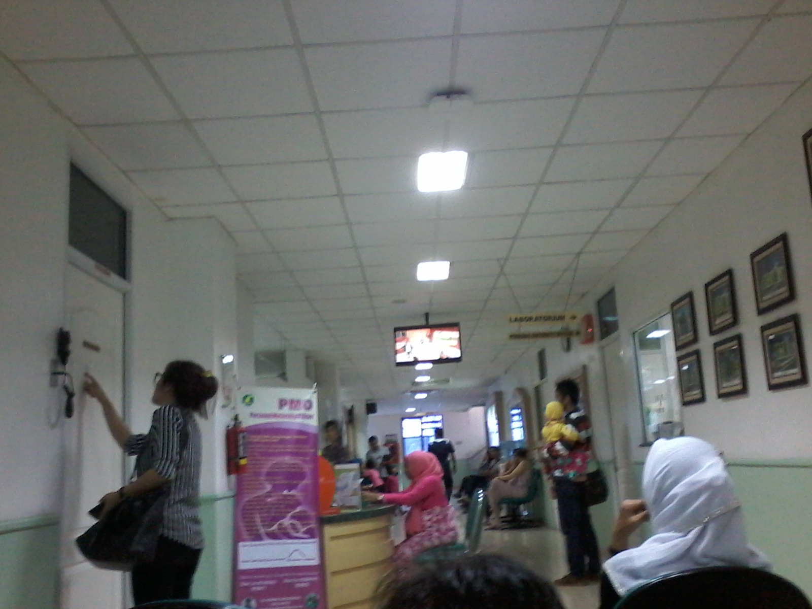 Inseminasi 1 Warna Warni Hidup