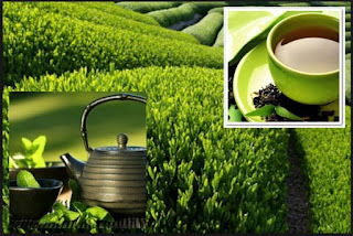 teh, antikanker, antioksidan, flavonoid, katekin, polifenol, teh hijau, teh hitam, teh oolong, khasiat teh, asal usul teh, asal usul dan khasiat teh, kandungan teh