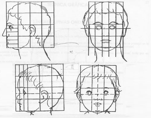 Tutorial Ilustración proporciones básicas de un rostro  Domestika