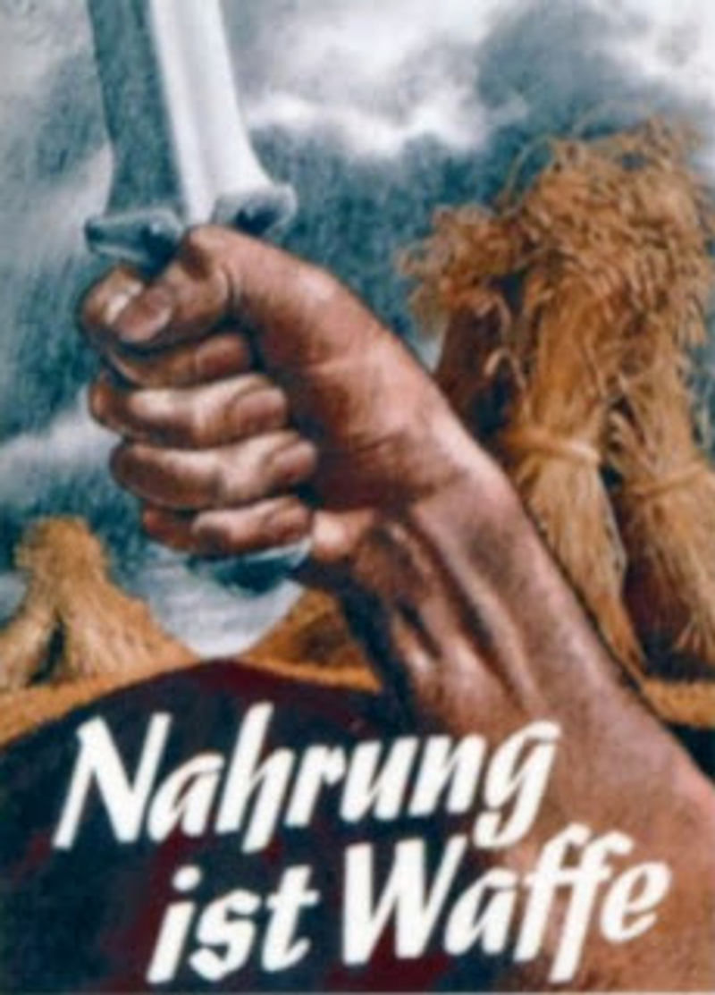 Warten Sie Nicht Länger Entdecken Sie Naturpräparate Als Neue Waffe Gegen Alzheimer Jetzt - 1segeyp