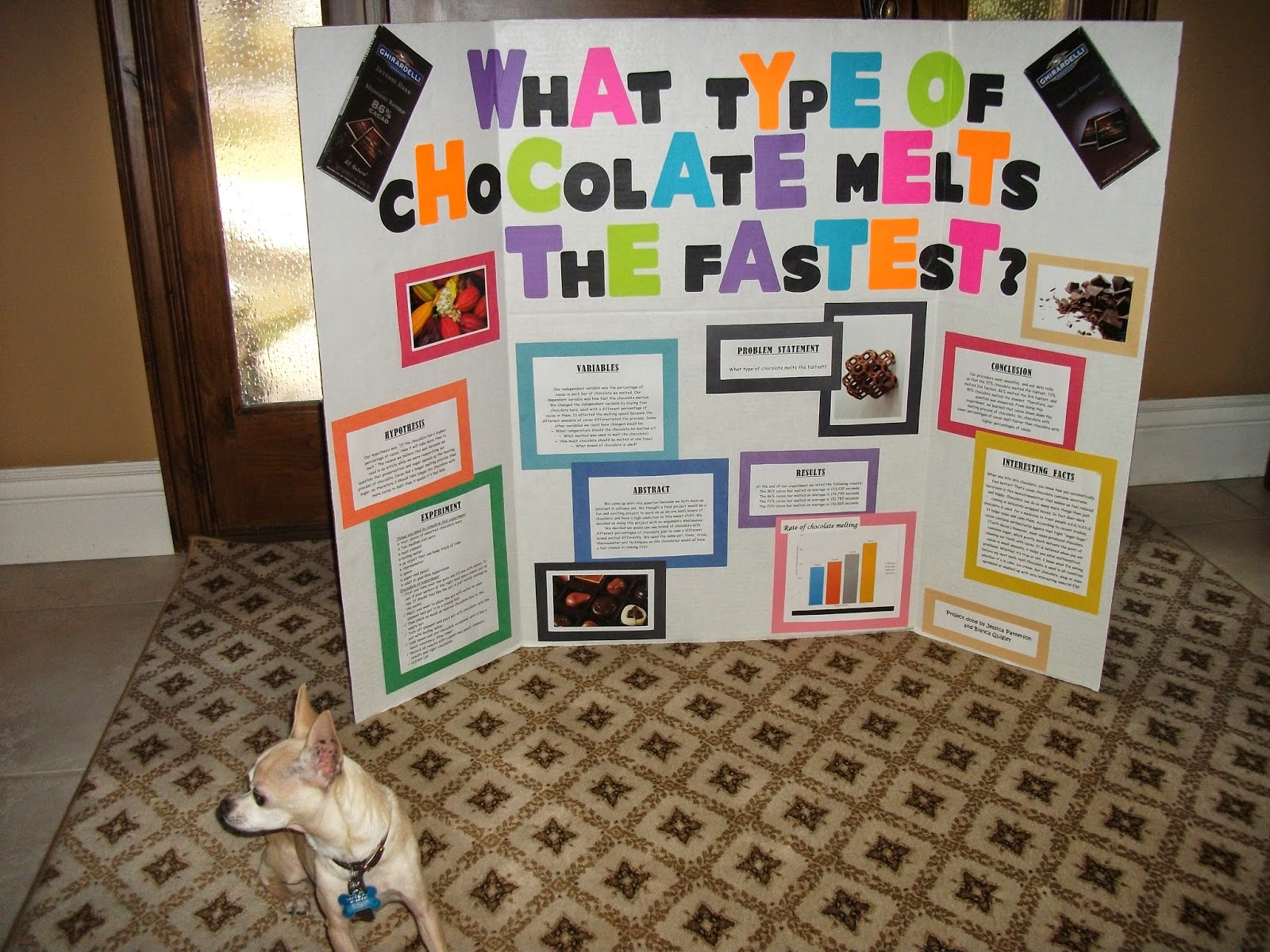 Jeana's Family Blog: Science Fair 2014