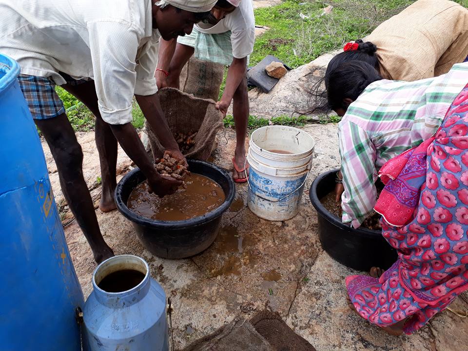 Seed treatment Traditional methods
