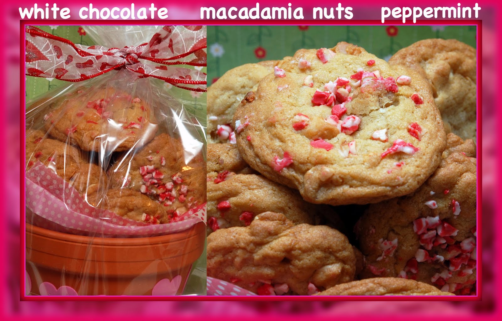 WHITE CHOCOLATE PEPPERMINT MACADAMIA NUT COOKIES Hugs and Cookies XOXO