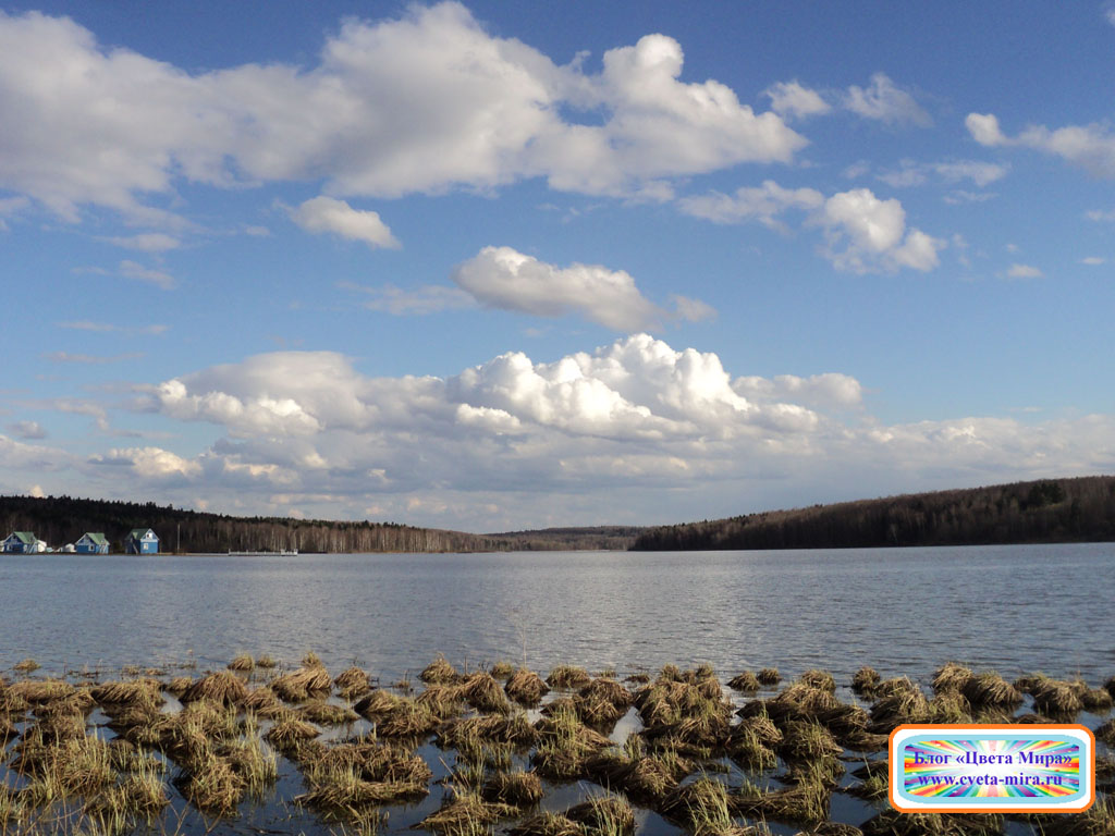 Торбеевом озере Торбеевом озере