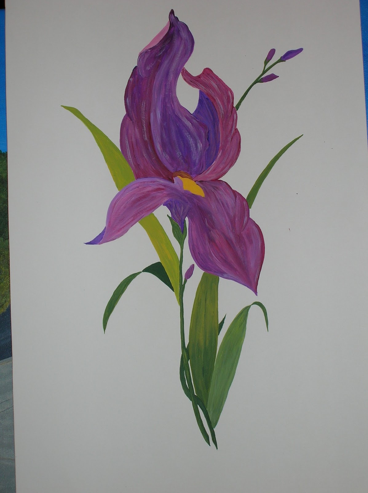 Maríamanual: Lámina con orquídea.