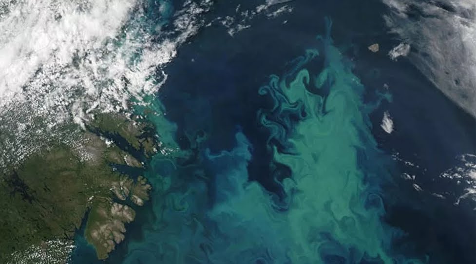 Cambierà Colore degli oceani per il Riscaldamento Globale, altro avvertimento.