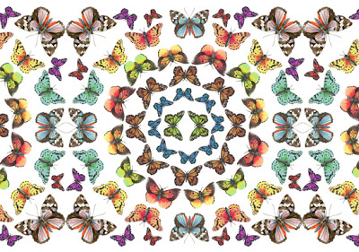 Pattern course student signed by Wallpapered.com! SW butterfly 01