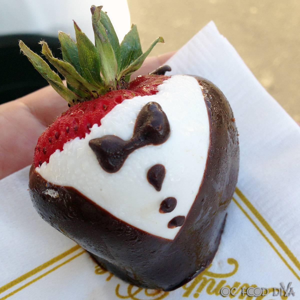 OC Food Diva 31st Annual Hoag Summer Fest Raised Over 261,000 for