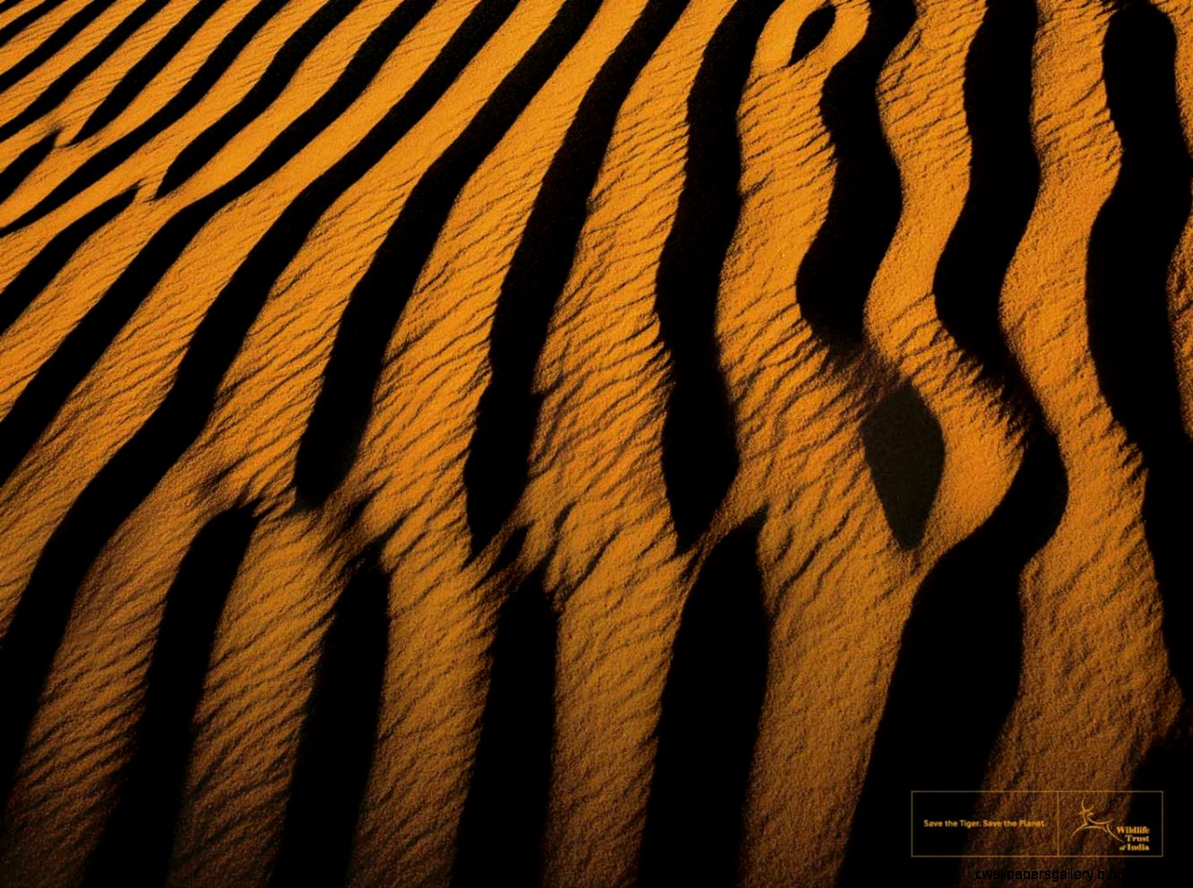 Tiger Skin Wallpaper Wallpapers Gallery Afalchi Free images wallpape [afalchi.blogspot.com]