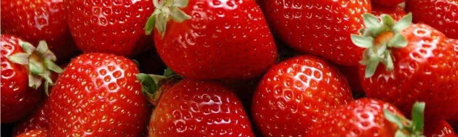 Projet Da Lat - Des fraises au Vietnam !