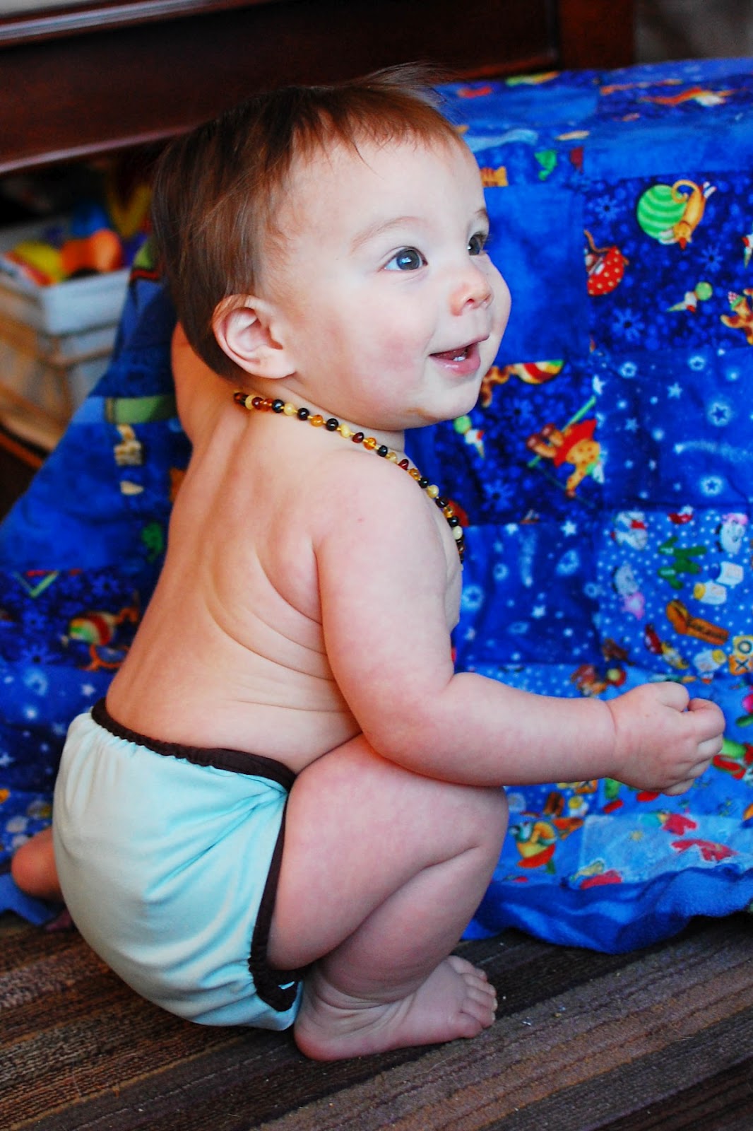 Nicki's Diapers Finding an Overnight Diaper