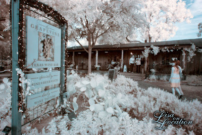 The Grapevine in Gruene, New Braunfels, infrared photography