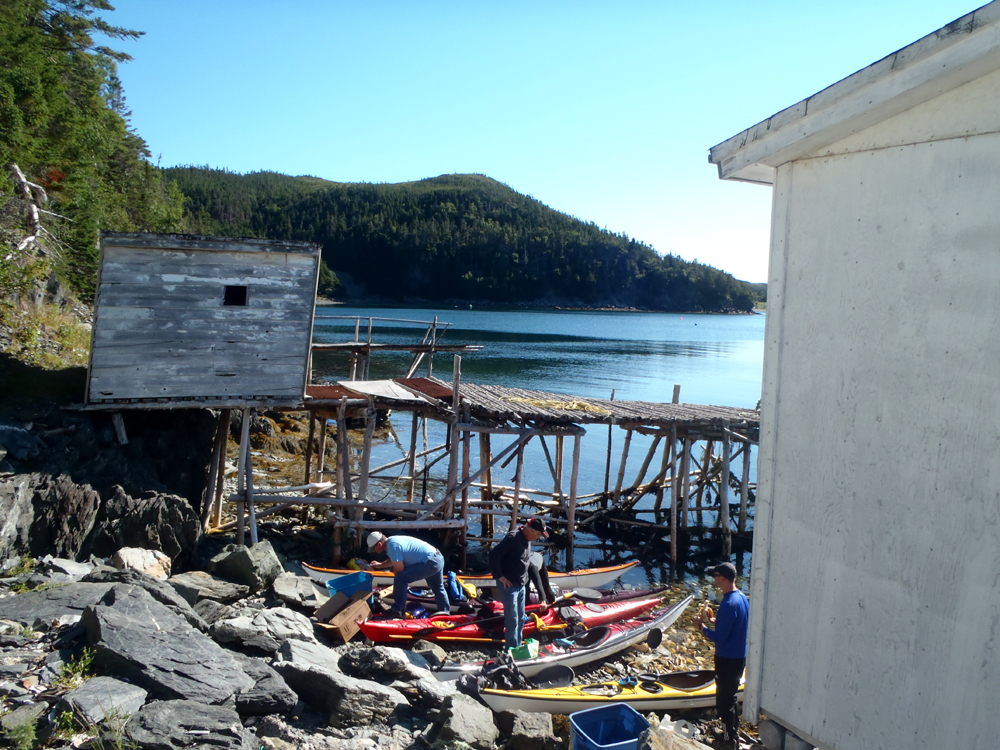 My Newfoundland Kayak Experience Placentia Bay 2015 Is that you Clattice?