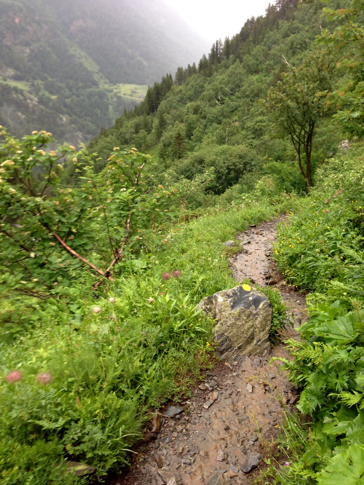 Itchy Feet Adventures Andorra Comapedrosa Hiking Trail