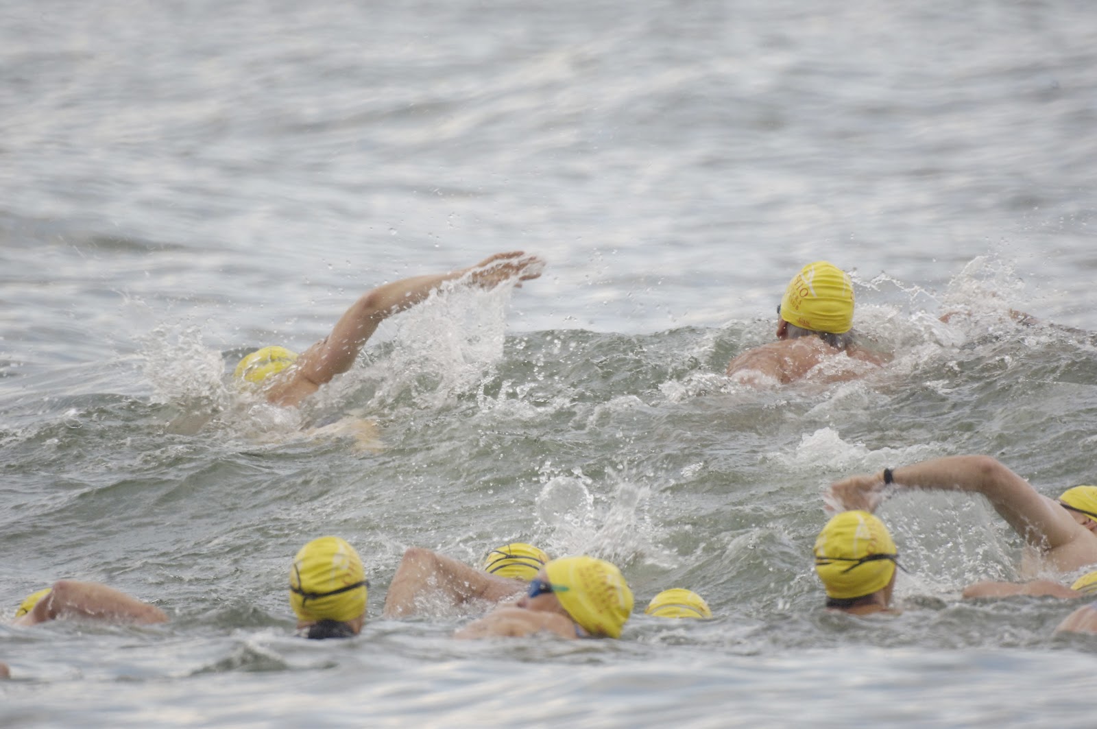 Open Water Swimming Lake Erie Open Water Swim Was Rugged This Year.