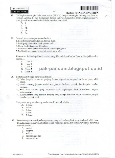 Free Download Soal Un Biologi Sma Blogspot Directory Free Download Soal Un Biologi Sma Blogspot Directory