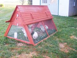 coop chicken build portable spend structure money base