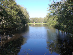 SURFSIDE LAKES