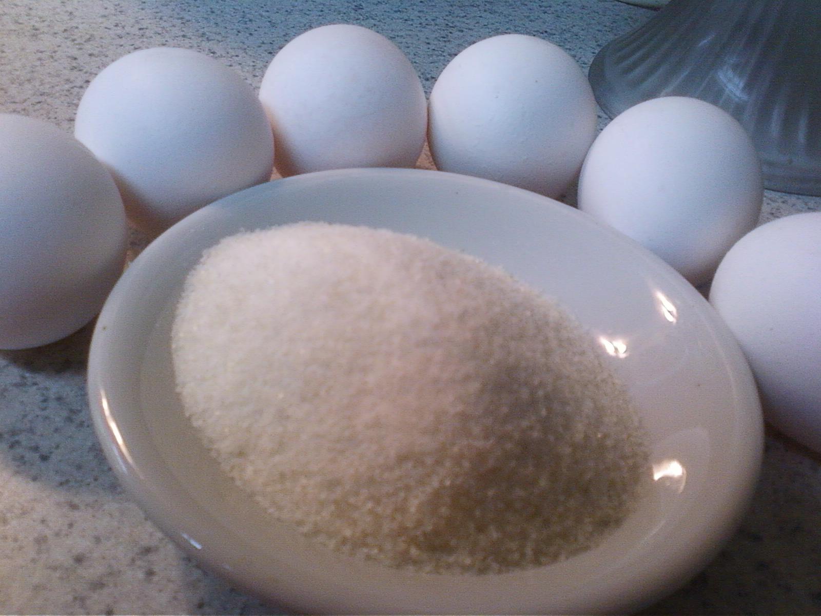 Zombies In My Kitchen Egg Replacement In Times of Apocalypse