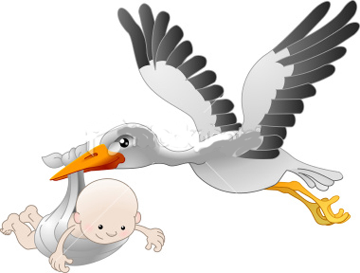 clipart baby storch - photo #41