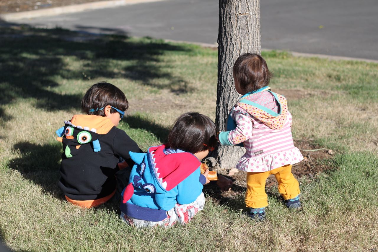 mays of our lives our new parker library