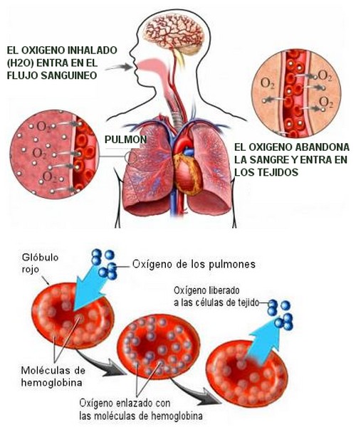 Inventan partículas para que puedas vivir sin respirar