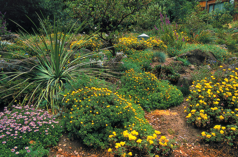 Valley Crest Landscaping Maintenance How To Grade Landscape