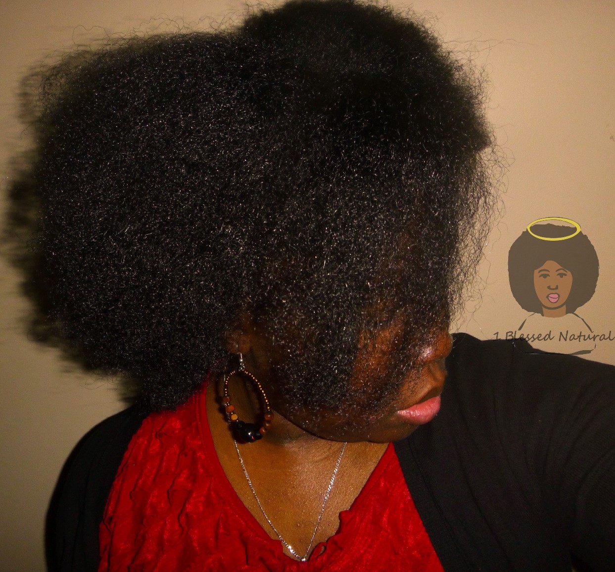 My Winter Natural Hair Regimen For 2016