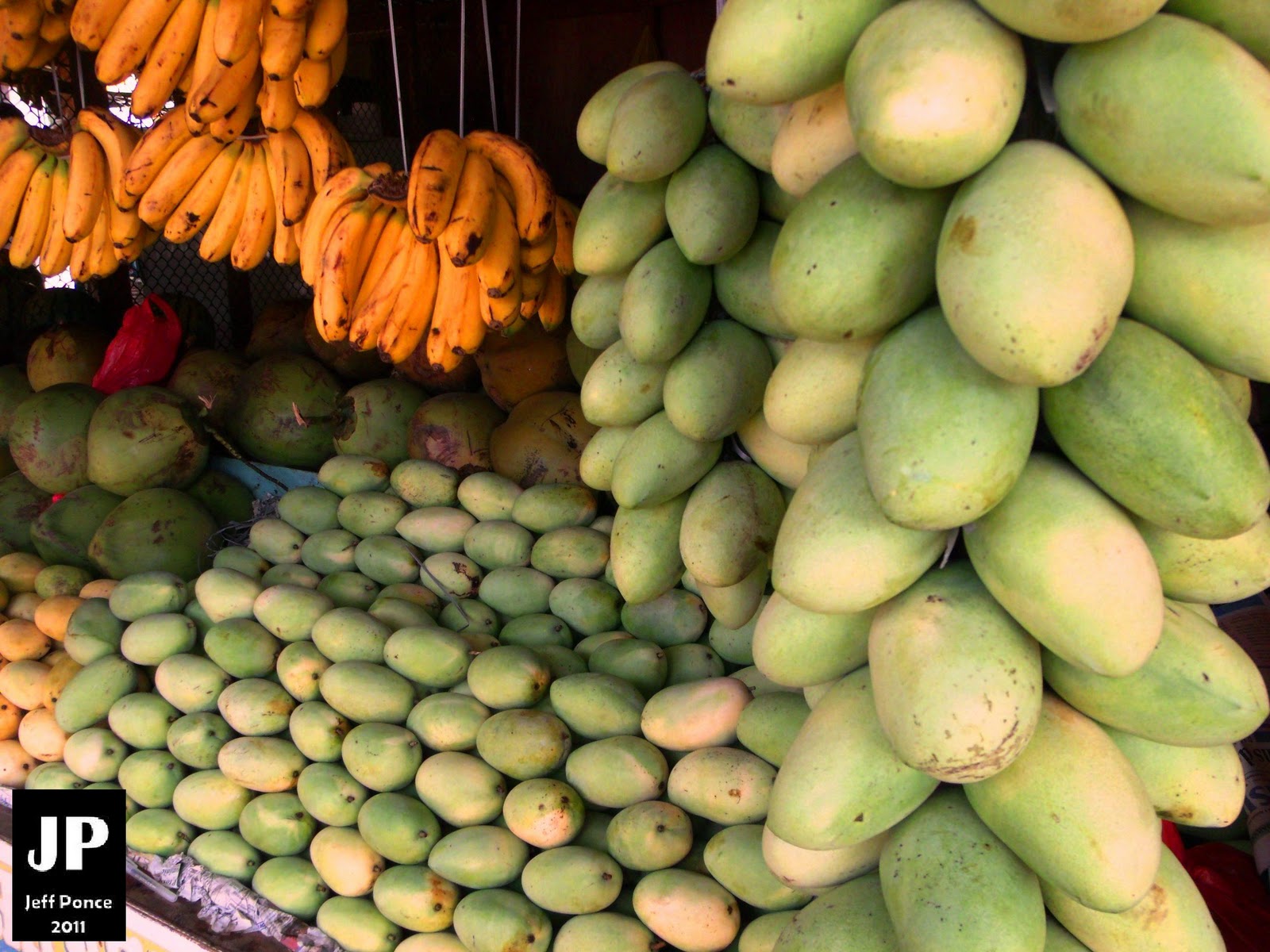 Bisayang Manlalakbay around the Philippines Guimaras Sweetest Mangoes Also Known as Manggahan