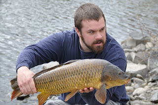 Cyprinus carpio