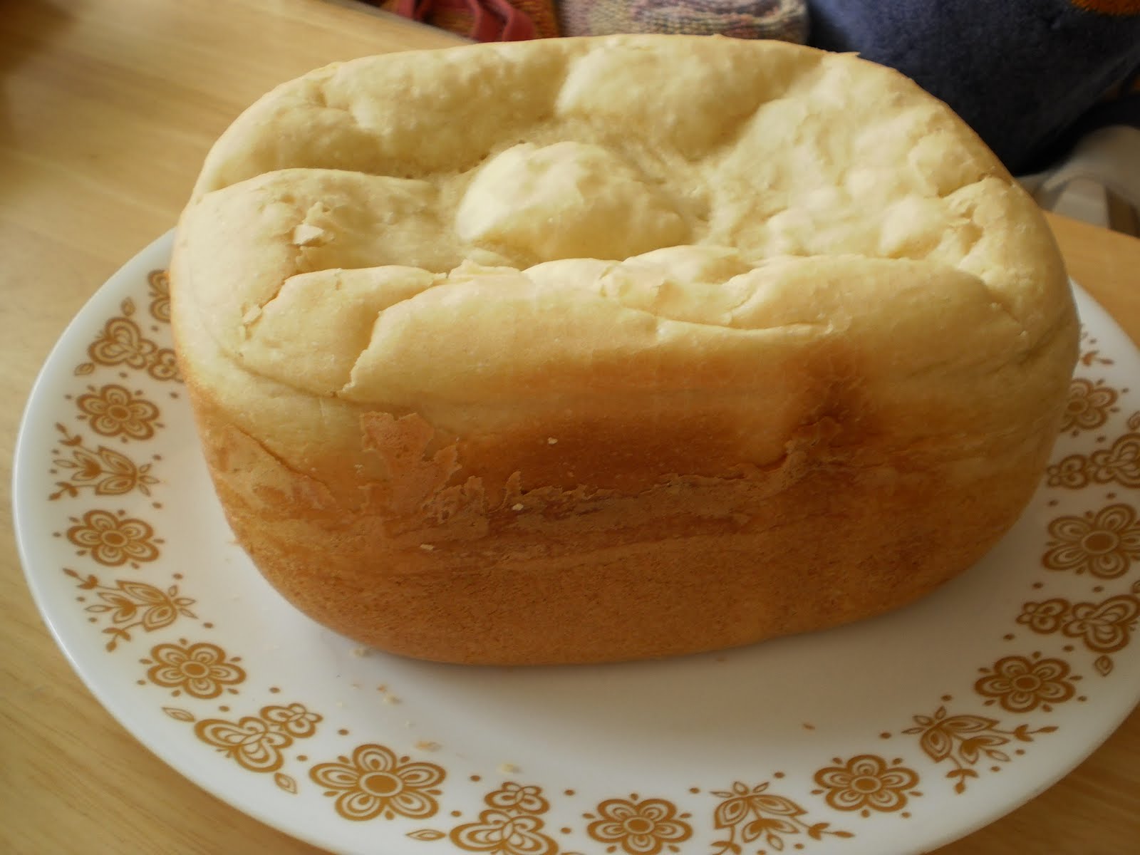 Carrie S. Forbes Gluten Free Cinnamon Raisin