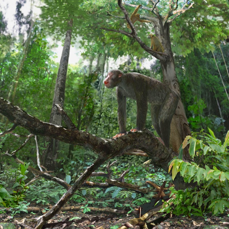 Palaeos, la historia de la Vida en la Tierra: El mono y el cocodrilo