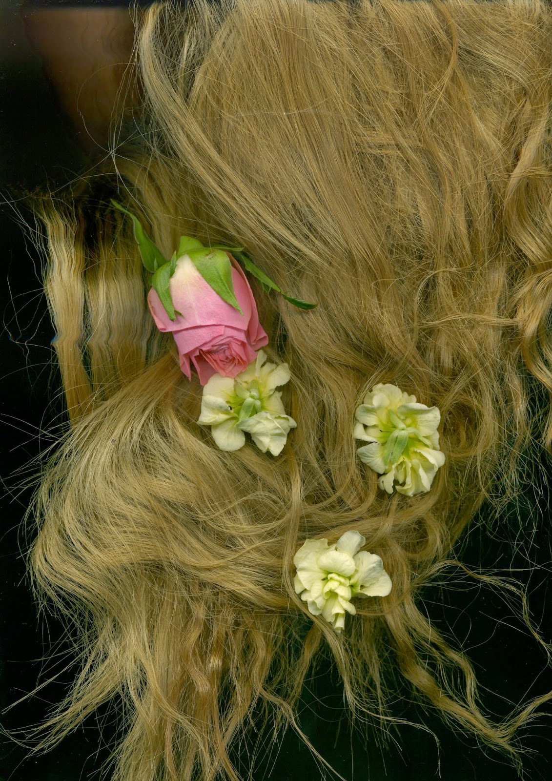 Unit 3 - Ideas and Concepts in Art and Design: Scanography