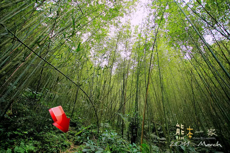 五寮尖|三峽小百岳|五寮尖和石碇鄉的皇帝殿齊名|玉觀音蓮花寺、福德宮、濟玄堂及玉里商店都是五寮尖的登山口