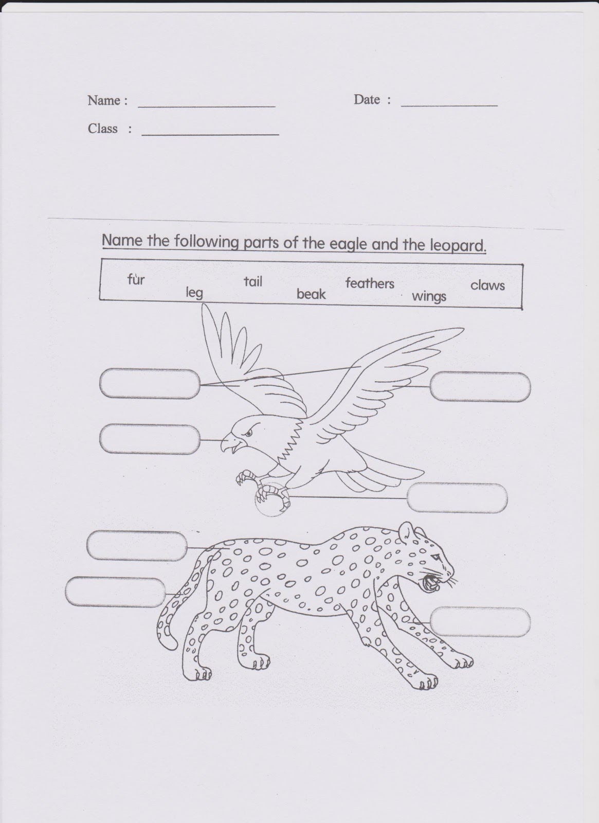 Welcome To Science Year 3 : Worksheet