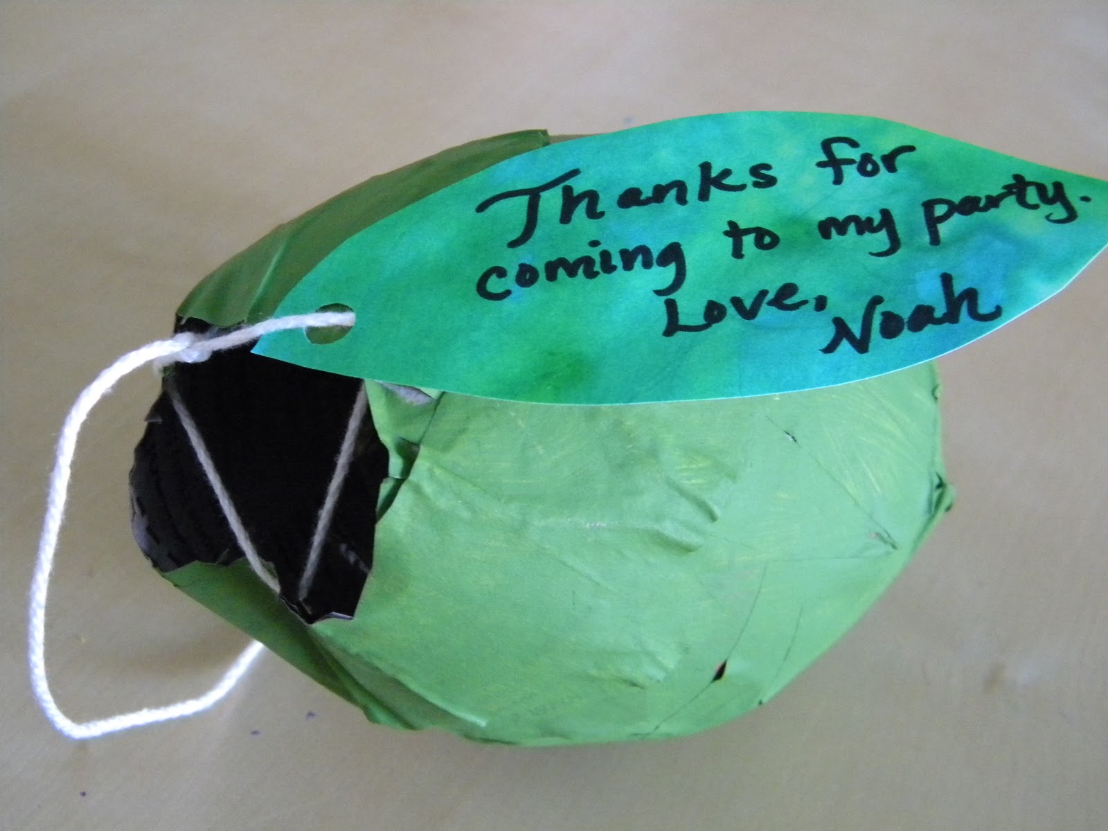 The Pretty Kitty Studio DIY Cocoon Party Favors for The Very Hungry