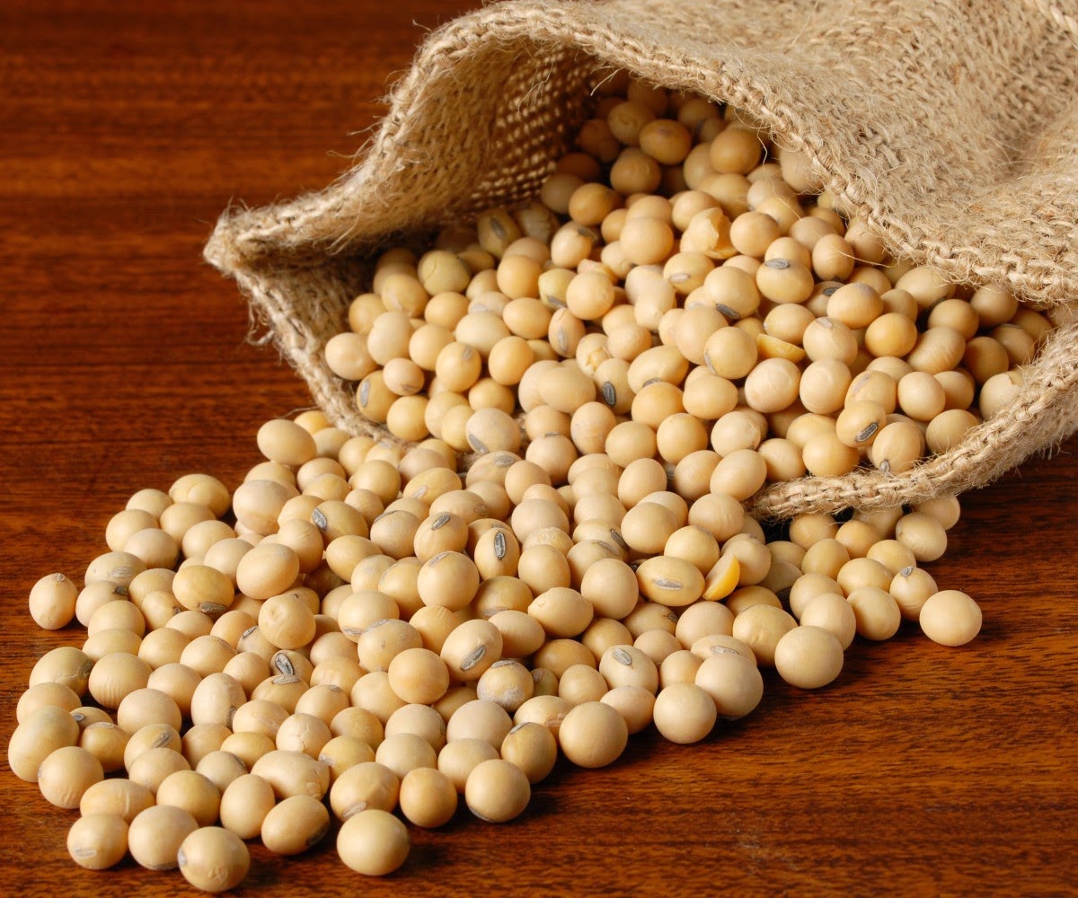 Amazing Health Benefits of Soybean Home Remedies