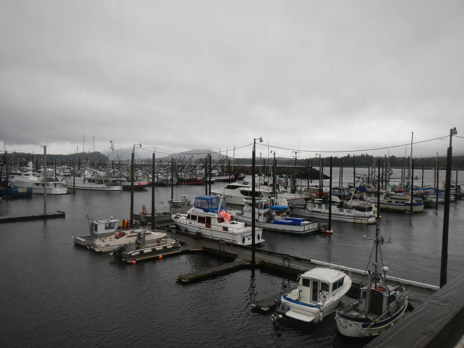 Sailing Sarita Prince Rupert to Ketchikan 84 miles