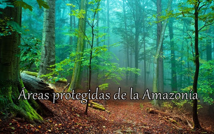 RELIEVE DE LA AMAZONÍA Áreas Protegidas de la Amazonía
