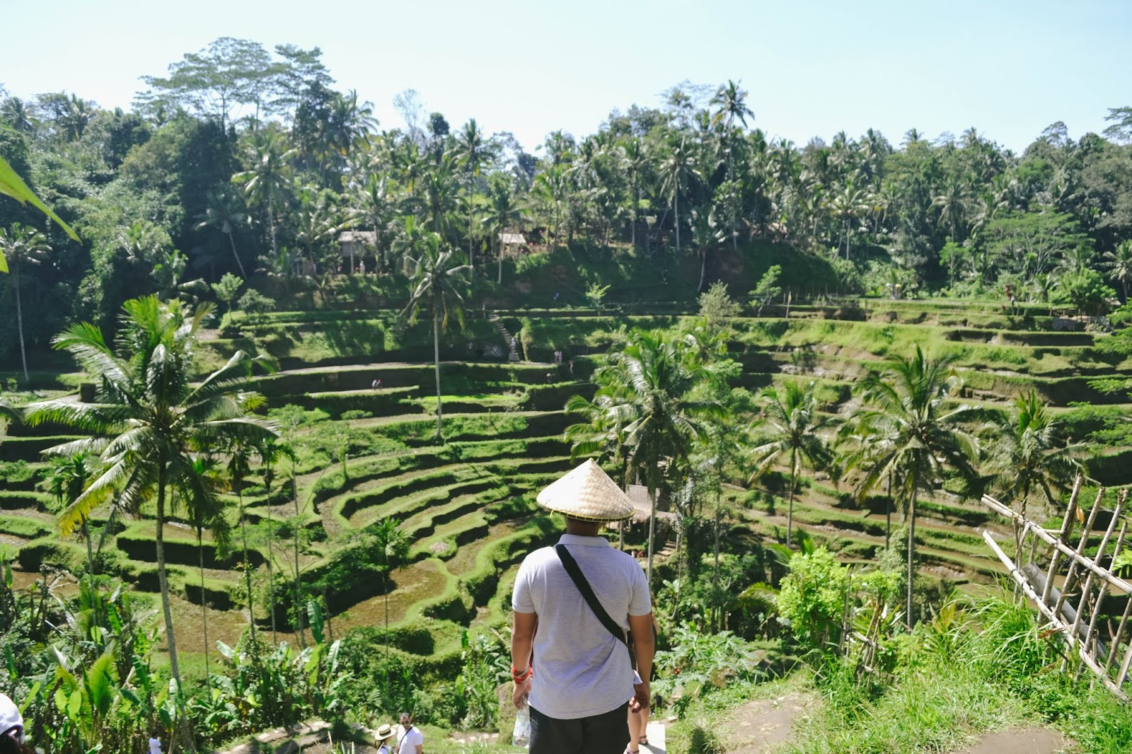 tegalalang rice terraces bali