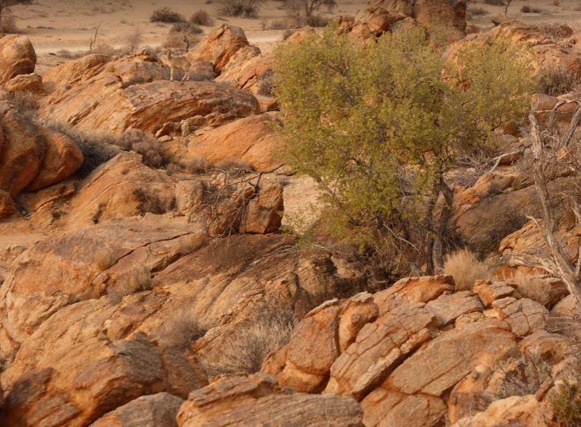 Cosa Fare Ad Aus In Namibia Trekking Nel Deserto Roccioso Girovagando Con Stefania Blog Di Viaggi E Trekking