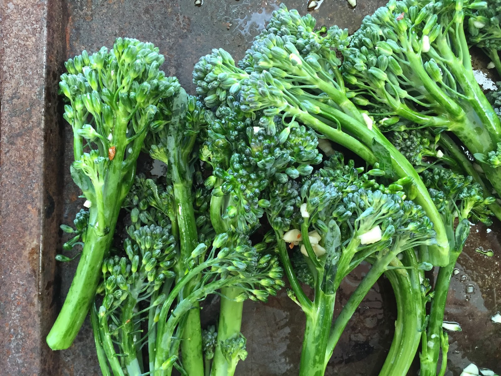 Grilled Broccolini