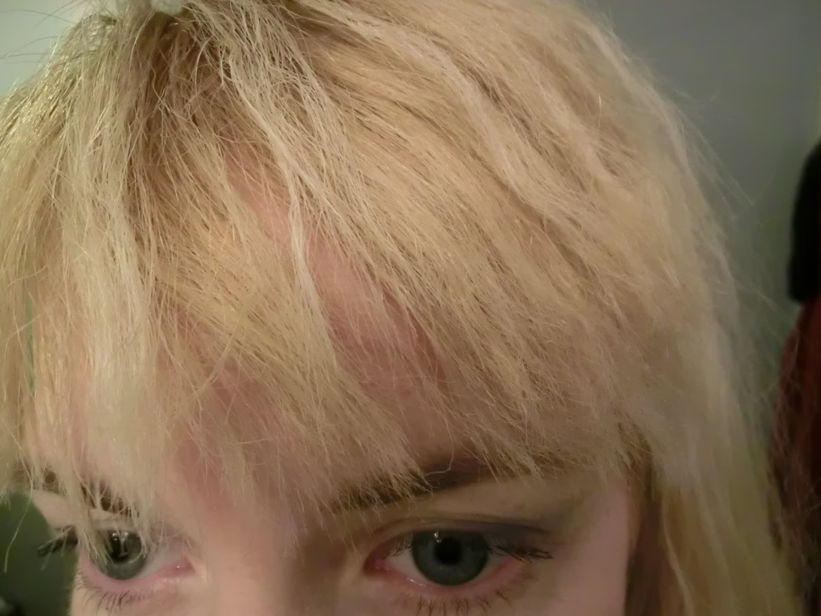 Banina's World Beauty Chronicles So, I Fried My Hair