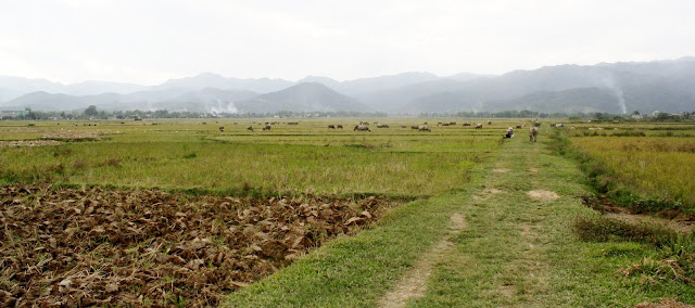 Retour à Diên Biên Phu, les collines des combats IMG_0945