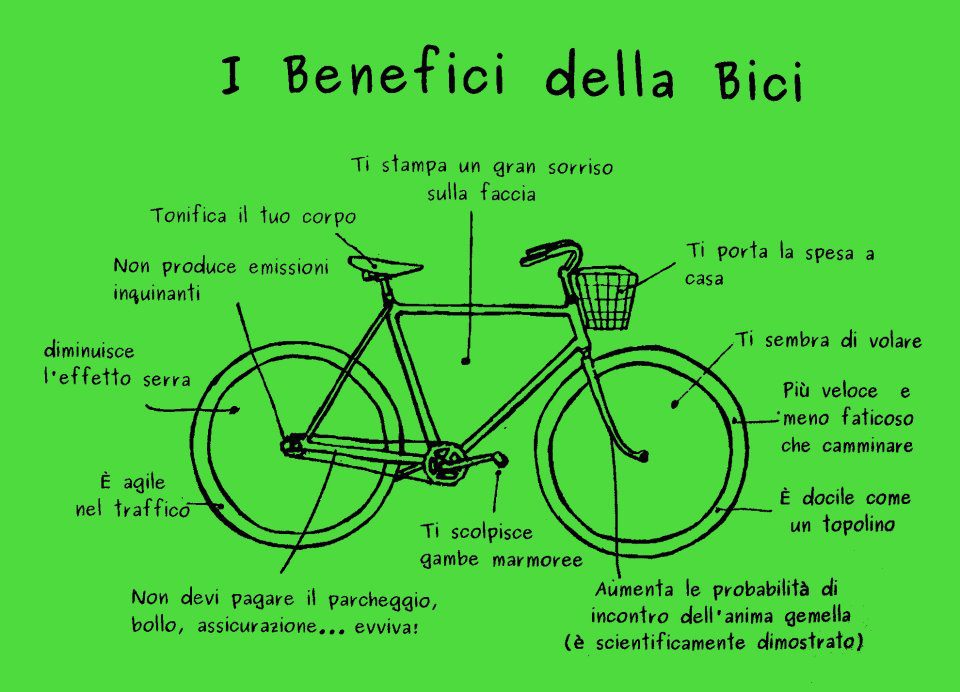 Le Parti Della Bicicletta Scuola Primaria