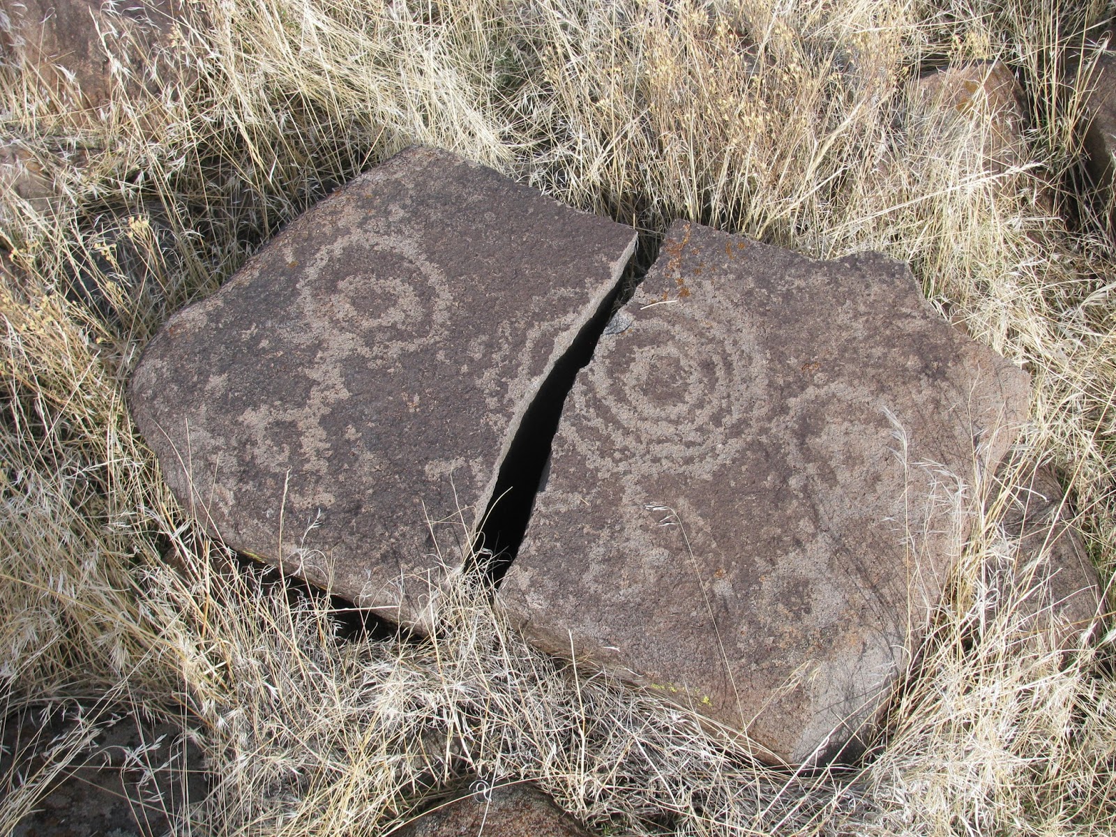 Weekend Wanderluster: Pah Rah Petroglyphs - Take Two (Washoe County ...