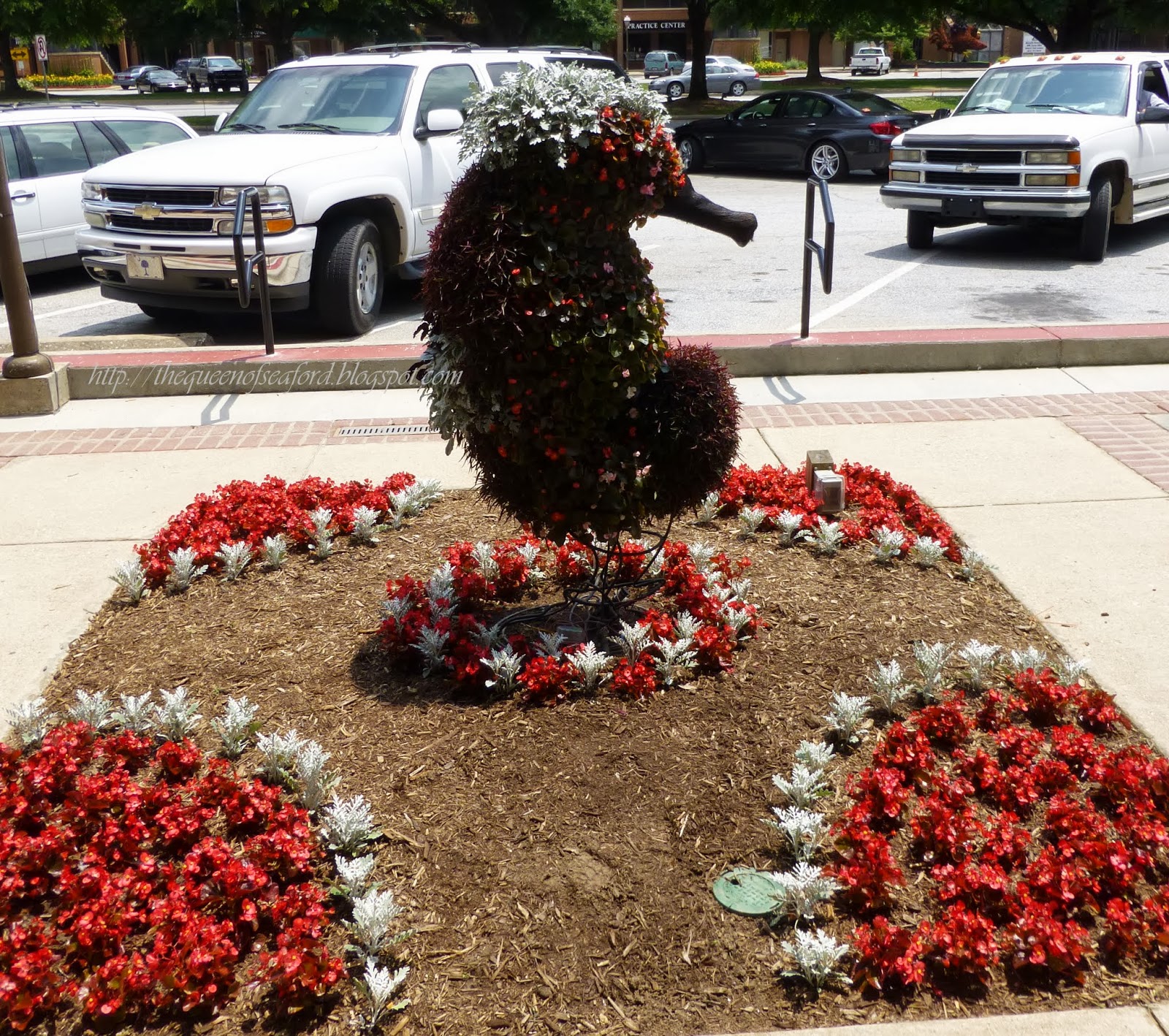 Greenwood Flower Festival 2025 Dennie Deirdre