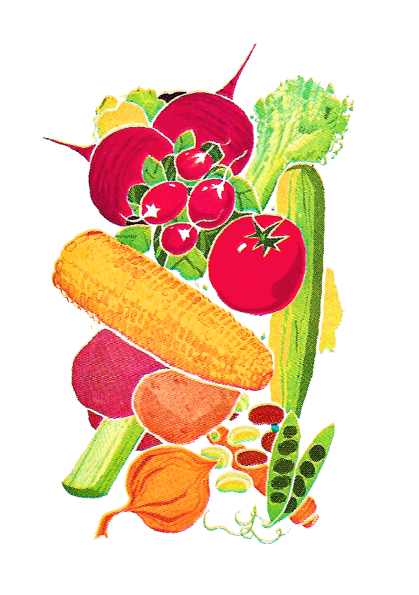vintage vegetable clip art - photo #30